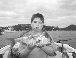 Snapper to 2kg have been taken in the Harbour when there’s been some rough weather outside.